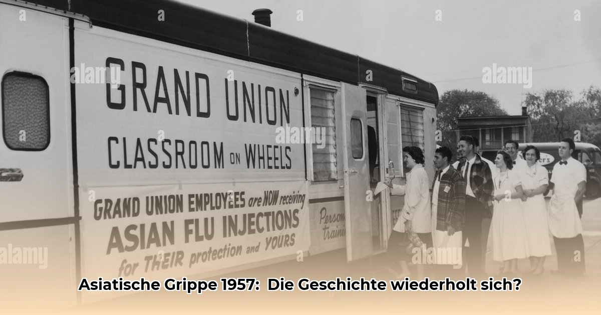asiatische-grippe